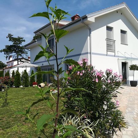 Apartma Majda Apartment Sezana Exterior photo